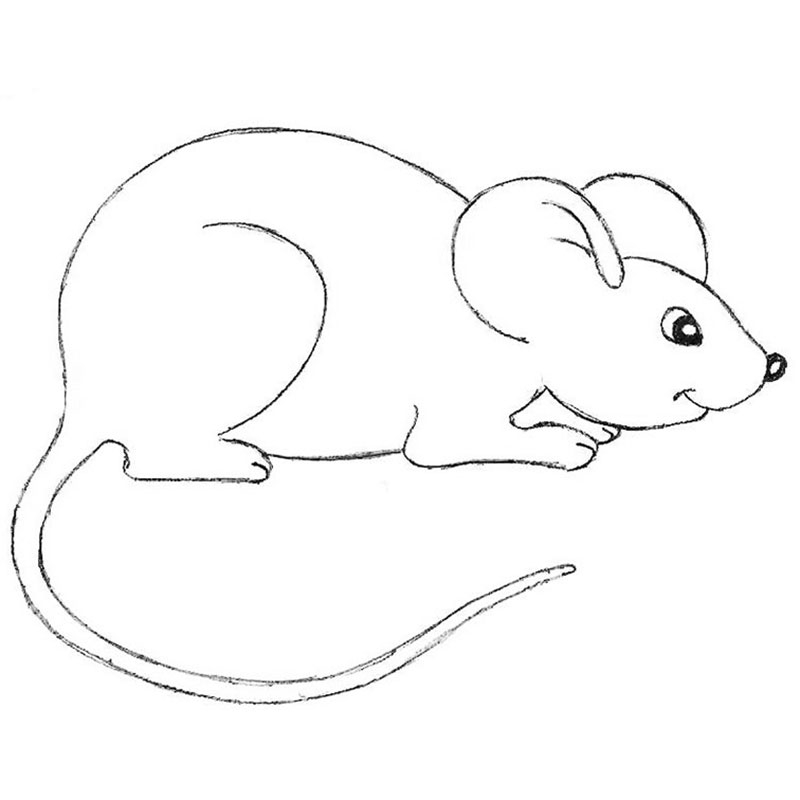 How To Draw A Mouse For Beginners