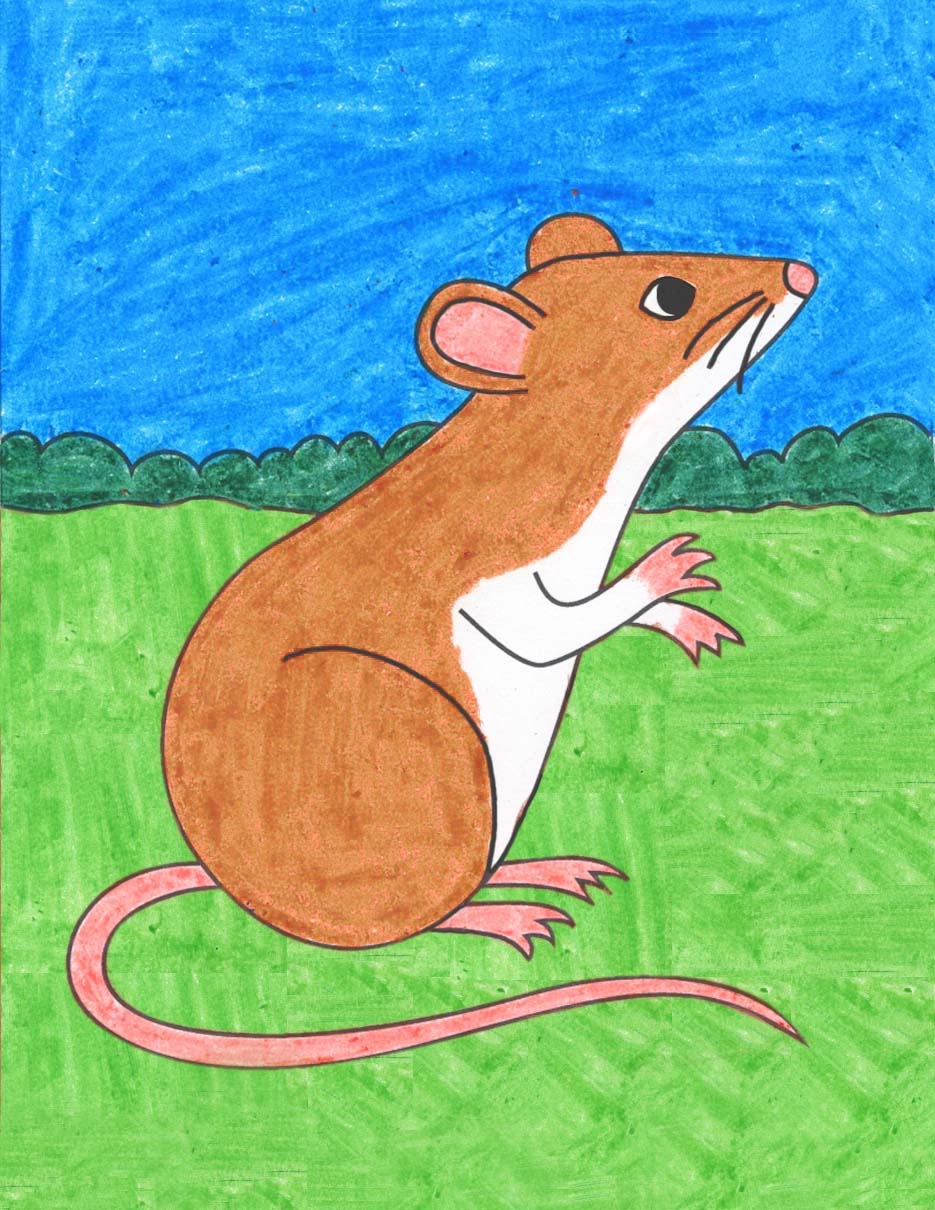 How To Draw A Mouse For Kids Easy Step by Step Art Lesson