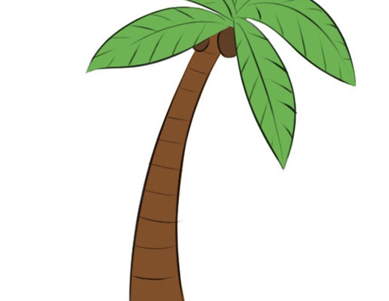 How To Draw A Palm Tree Easy Drawing Art