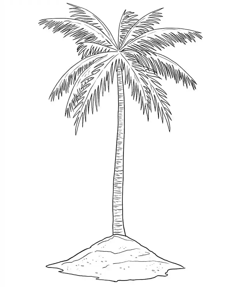 How To Draw A Palm Tree Our Favorite Beach Tree Drawing Tutorial