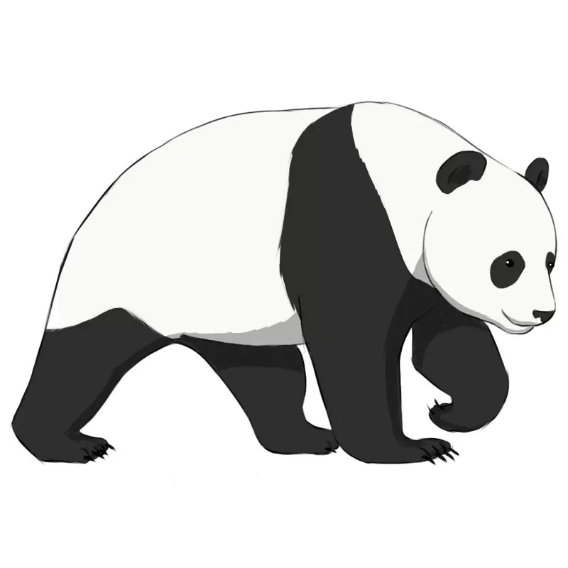 How To Draw A Panda Easy Drawing Art