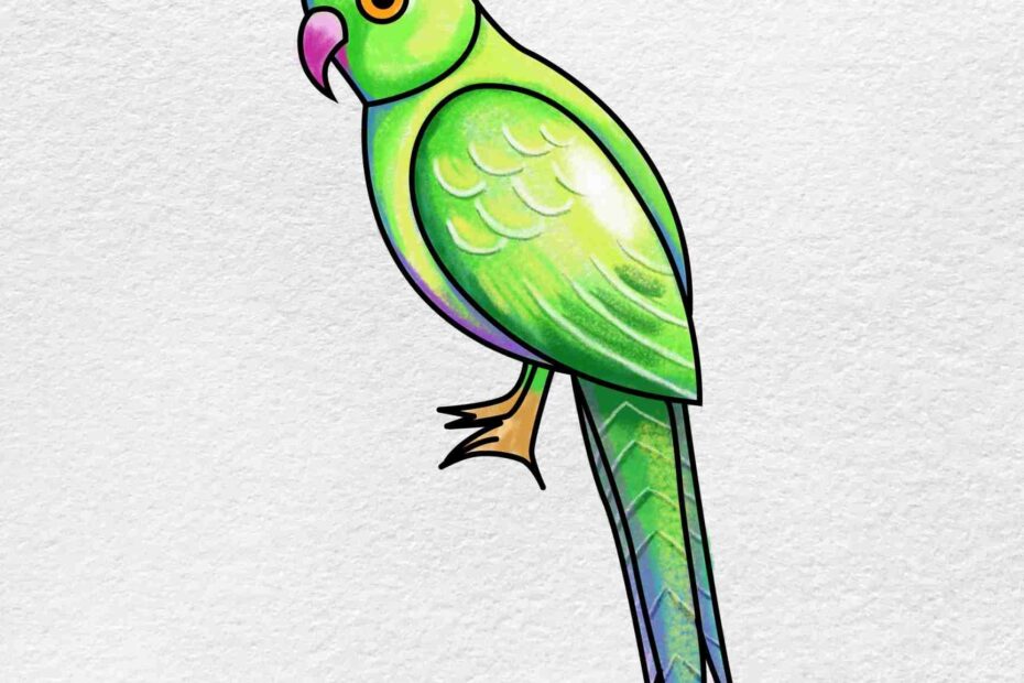 How To Draw A Parrot HelloArtsy