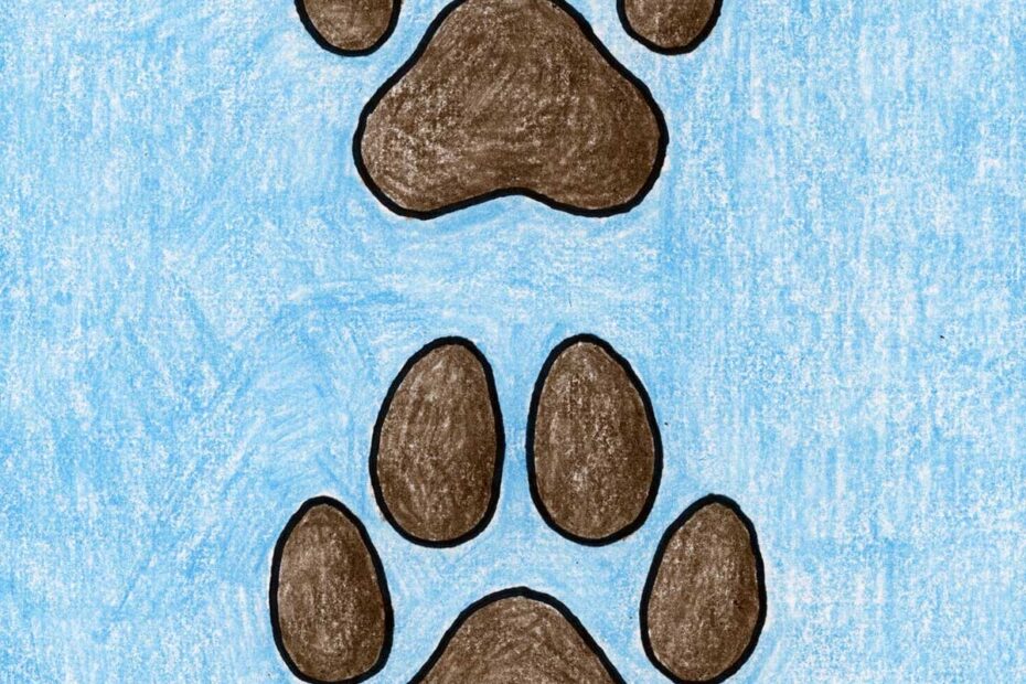 How To Draw A Paw Print For A Dog U0026 Cat Easy Step by Step Art Lesson For Kids