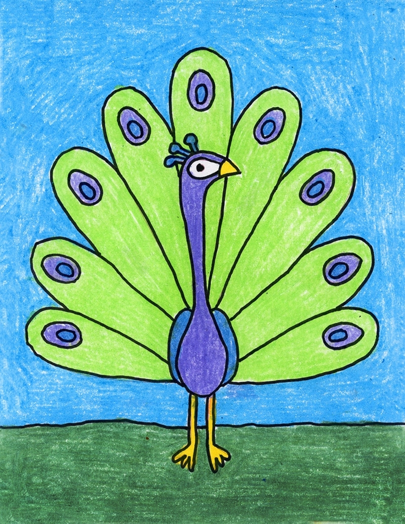 How To Draw A Peacock Easy Step by Step Art Lesson For Kids