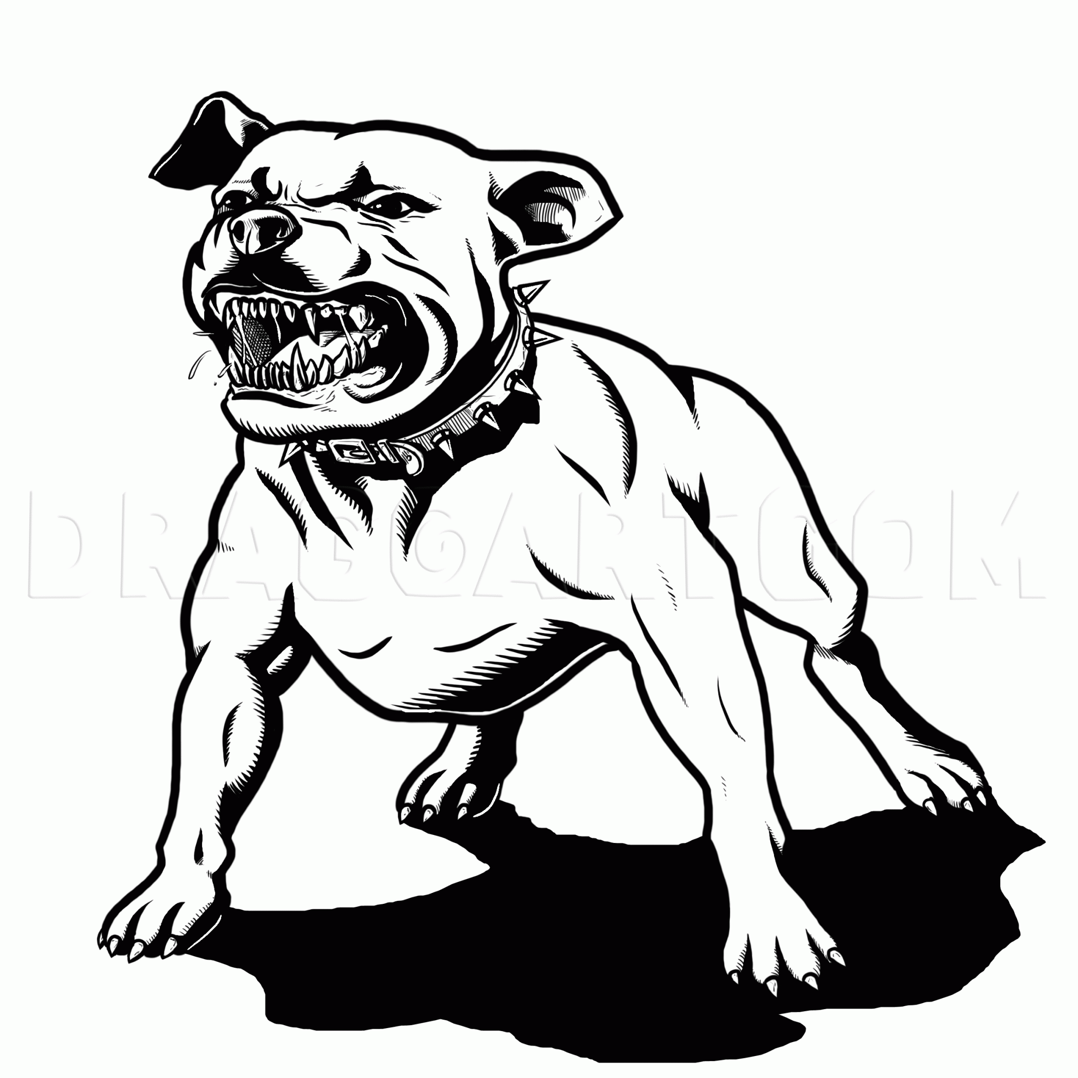 How To Draw A Pitbull Dog Drawing Step By Step By MichaelY 
