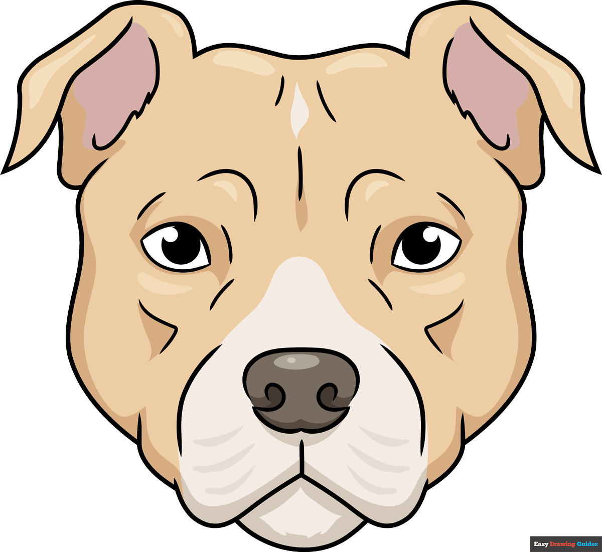 How To Draw A Pitbull Face Really Easy Drawing Tutorial