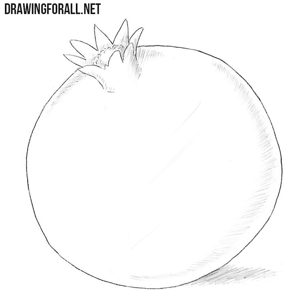 How To Draw A Pomegranate