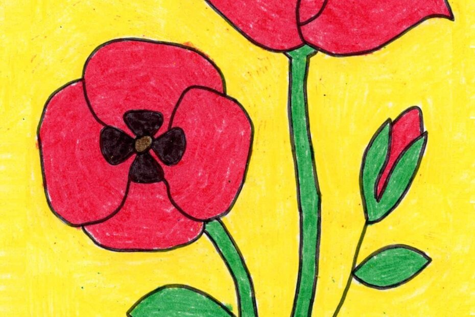 How To Draw A Poppy Easy Step by Step Art Lesson For Kids