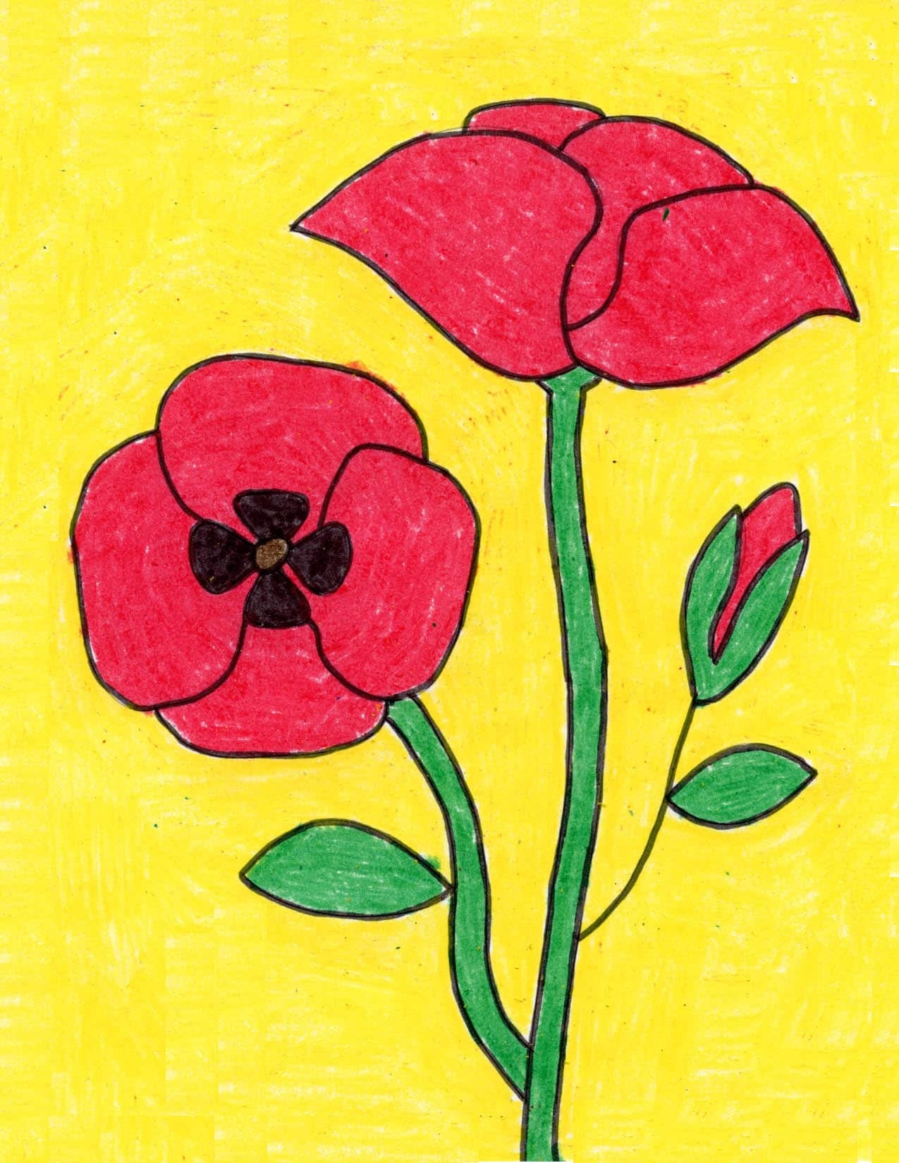 How To Draw A Poppy Easy Step by Step Art Lesson For Kids