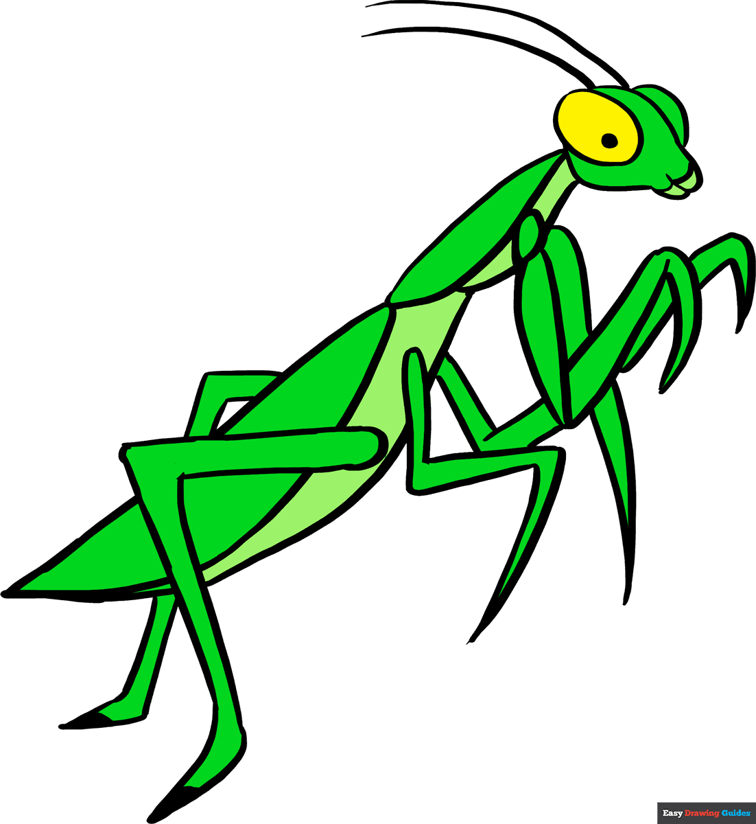 How To Draw A Praying Mantis Really Easy Drawing Tutorial