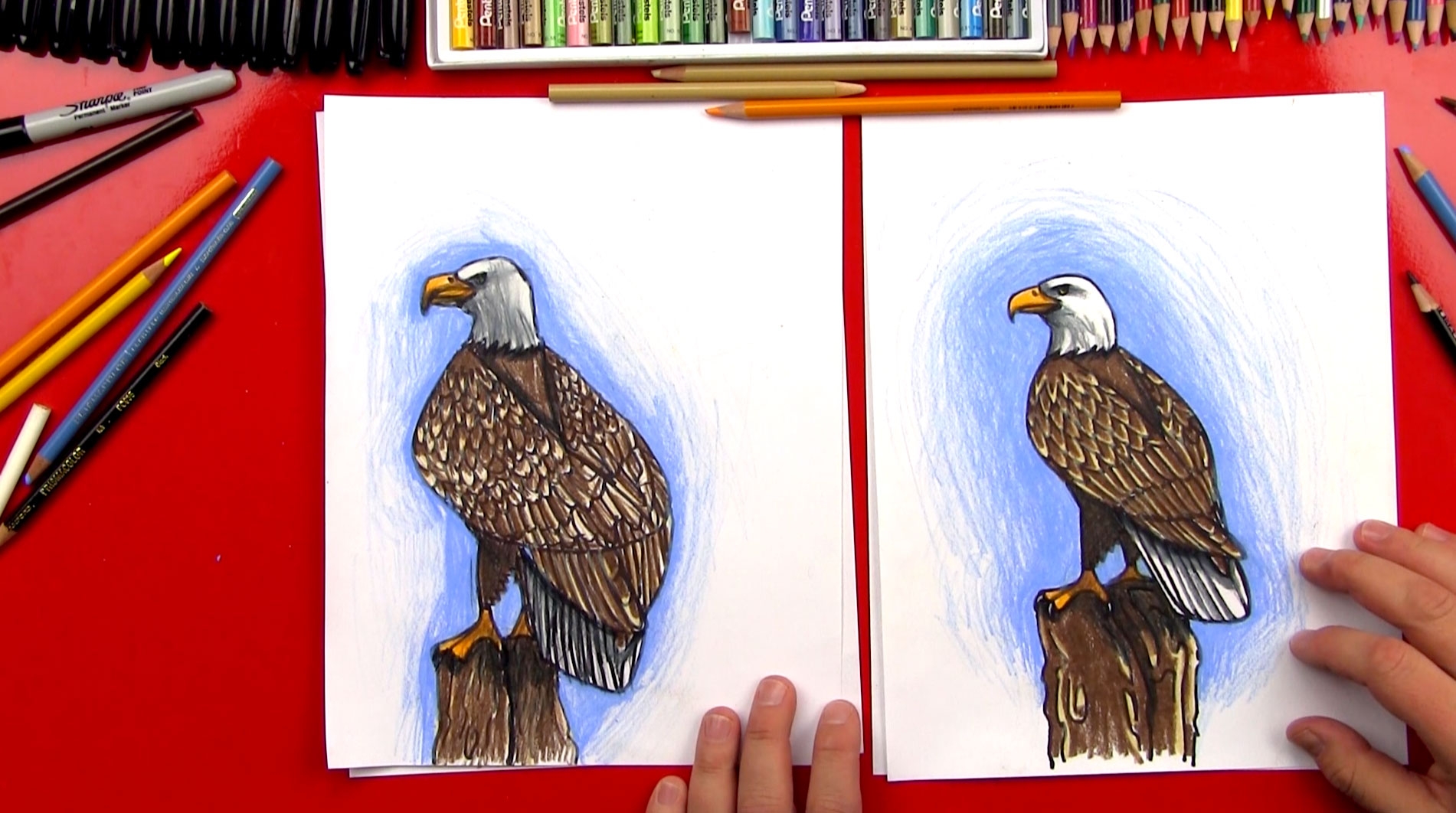 how to draw a bald eagle