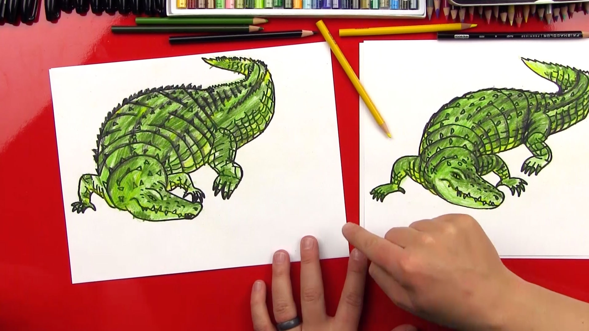 how to draw an alligator