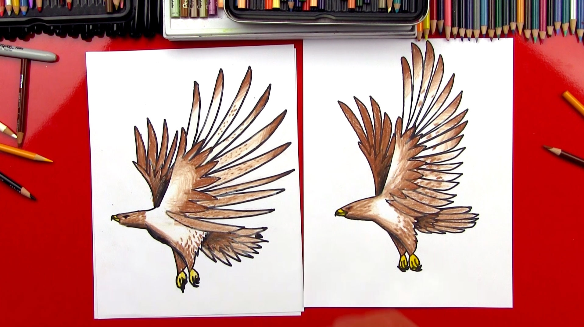 How To Draw A Realistic Hawk Art For Kids Hub 