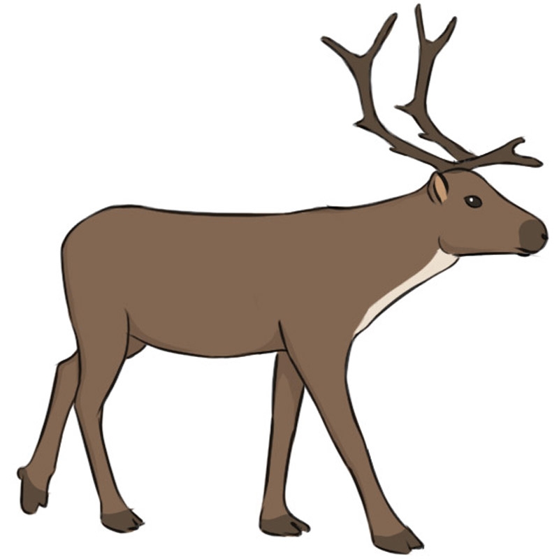 how to draw a reindeer