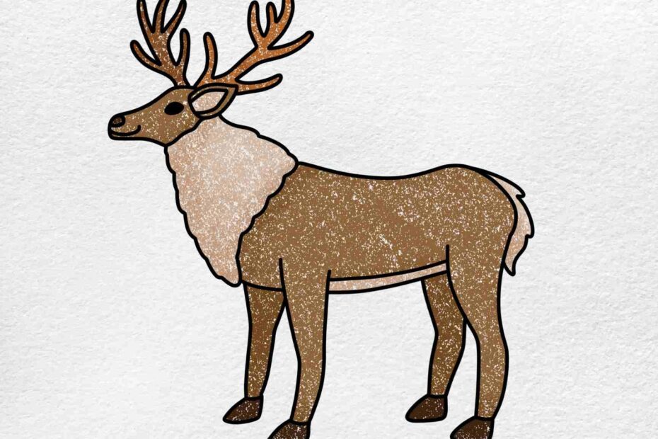 How To Draw A Reindeer HelloArtsy