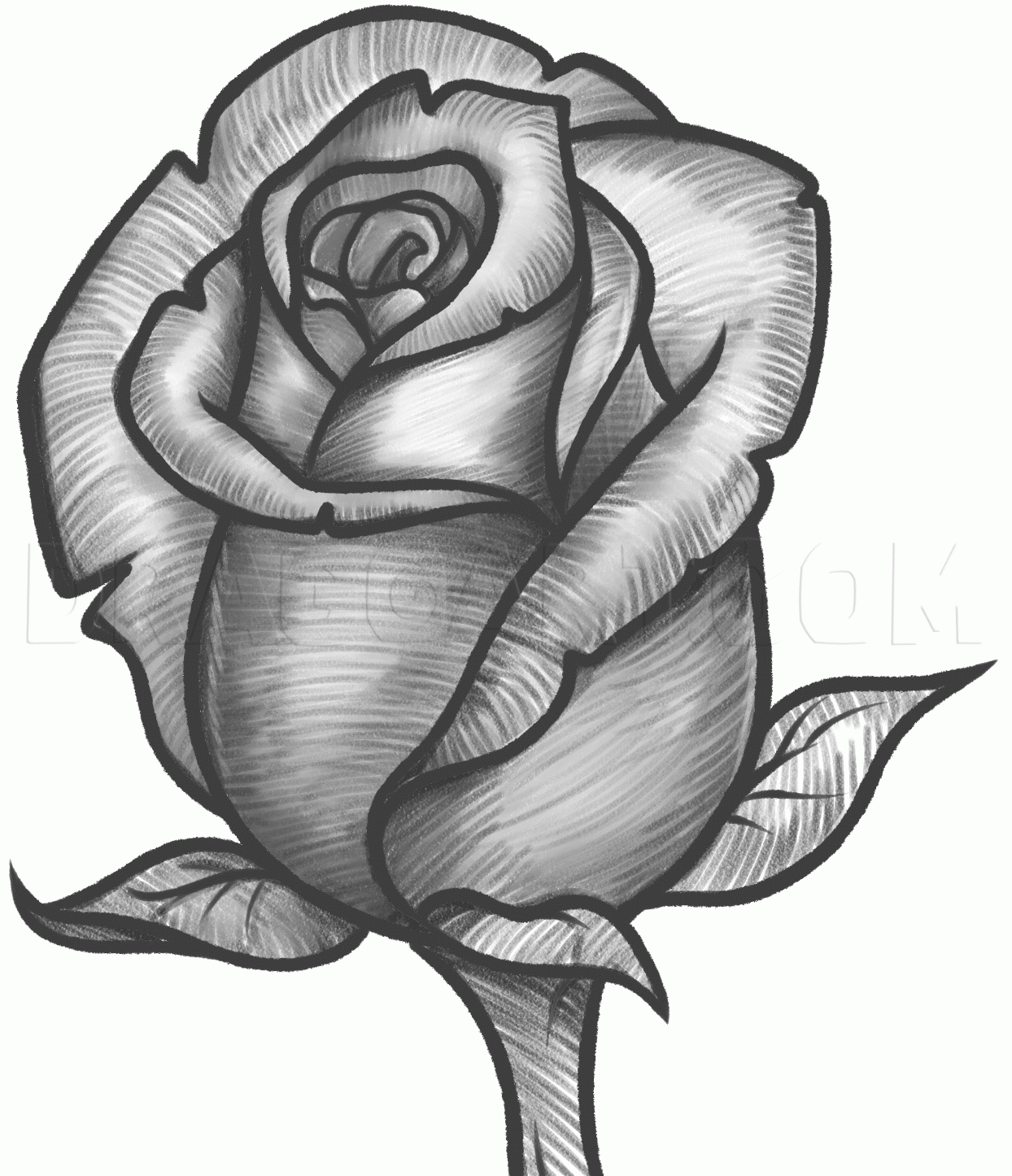 How To Draw A Rose Bud Rose Bud Drawing Step By Step By Dawn DragoArt