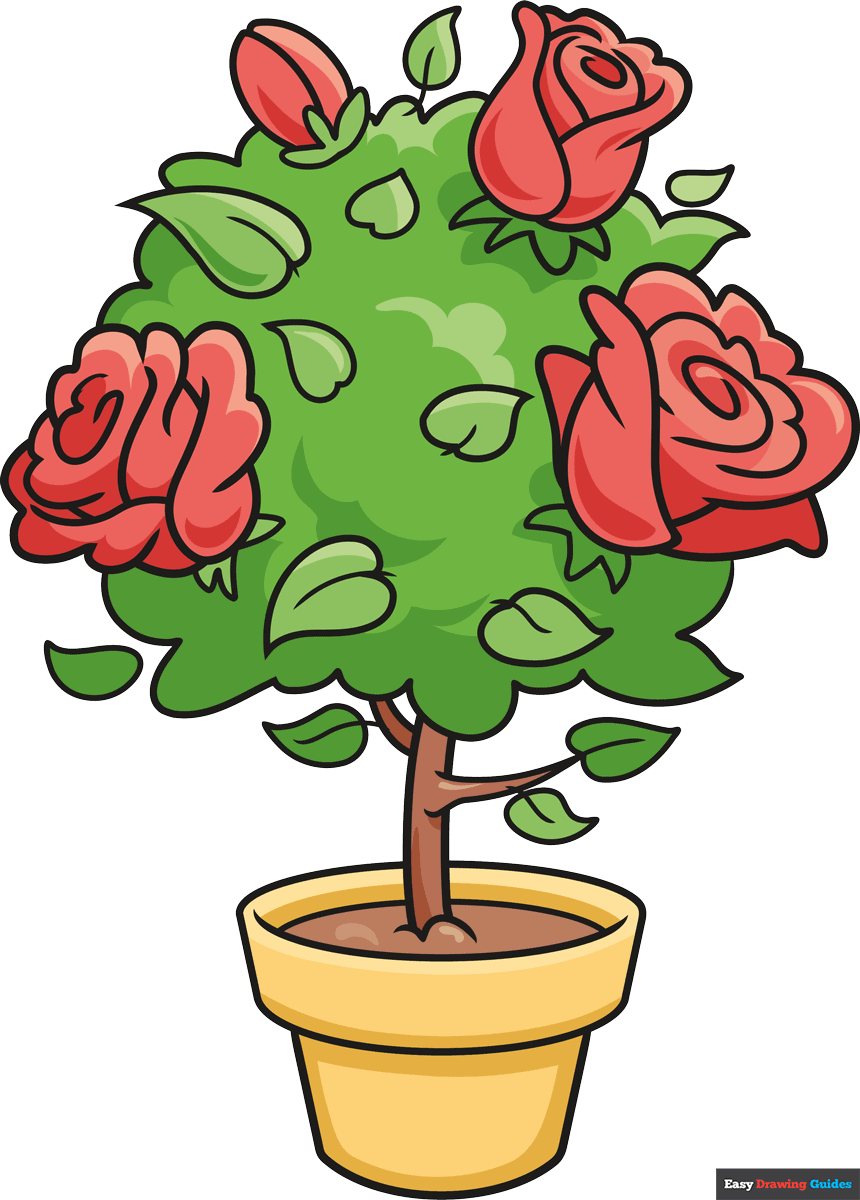 How To Draw A Rose Bush Really Easy Drawing Tutorial