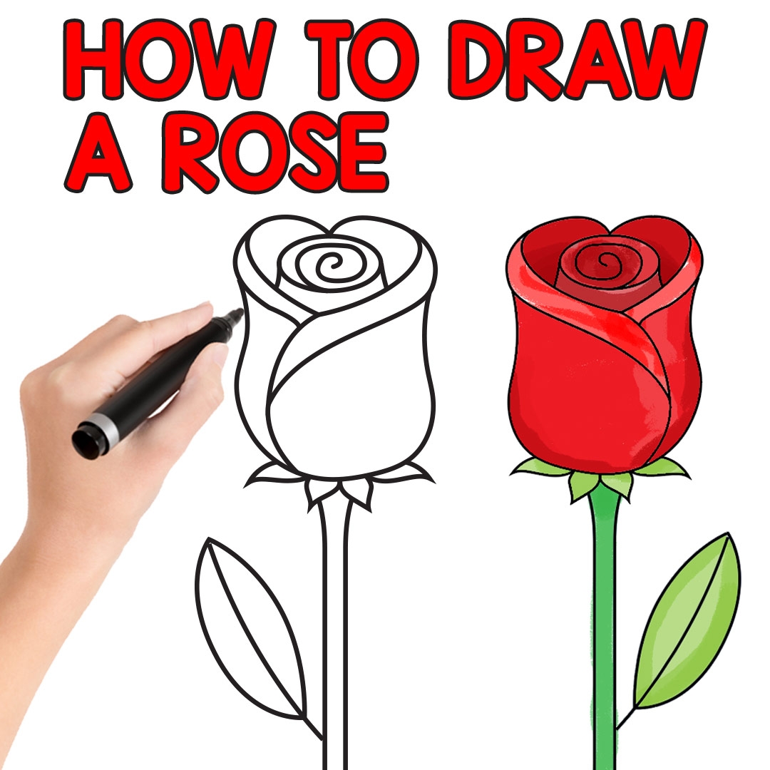 How To Draw A Rose Easy Step By Step For Beginners And Kids 