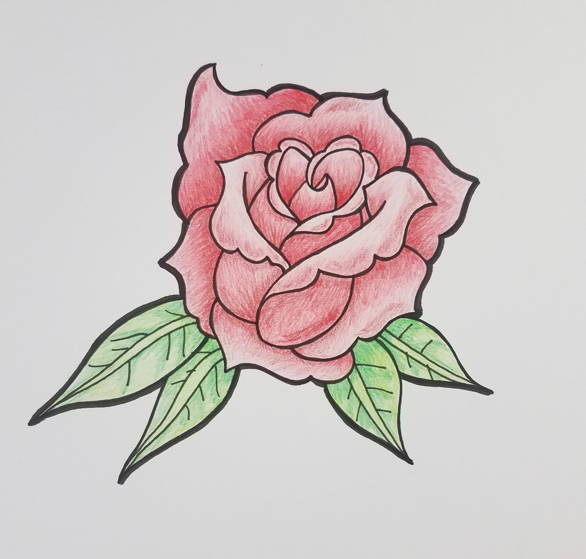 How To Draw A Rose For Beginners Step By Step Art By Ro