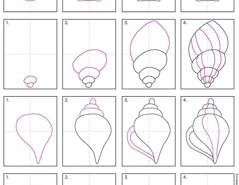 How To Draw A Sea Shell Easy Step by Step Art Lesson For Kids