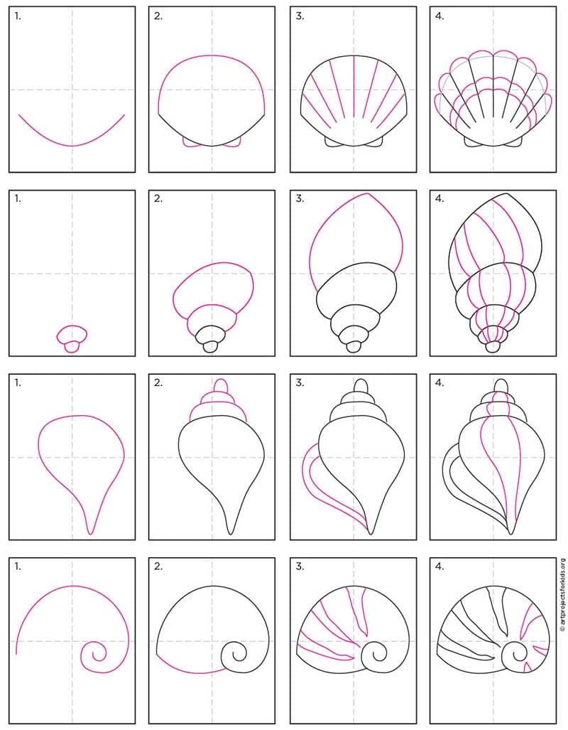 How To Draw A Sea Shell Easy Step by Step Art Lesson For Kids