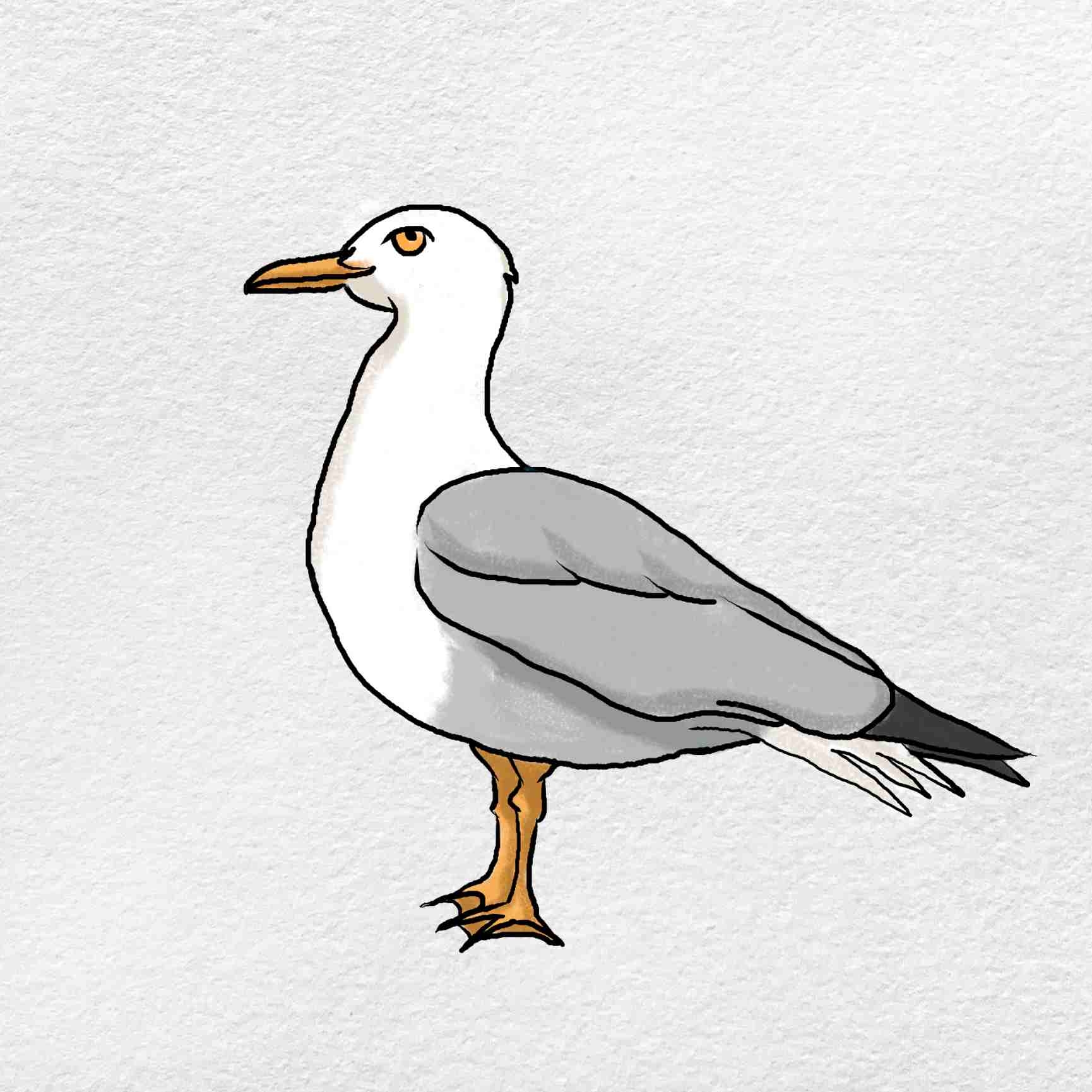 How To Draw A Seagull HelloArtsy