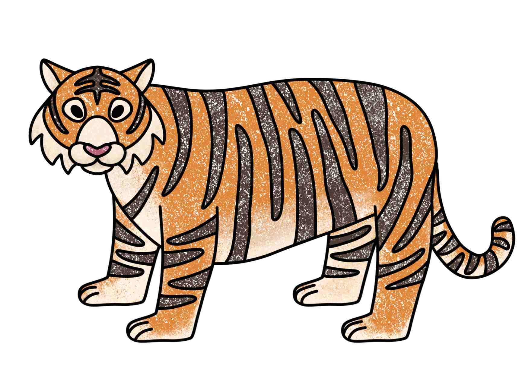 how to draw a tiger