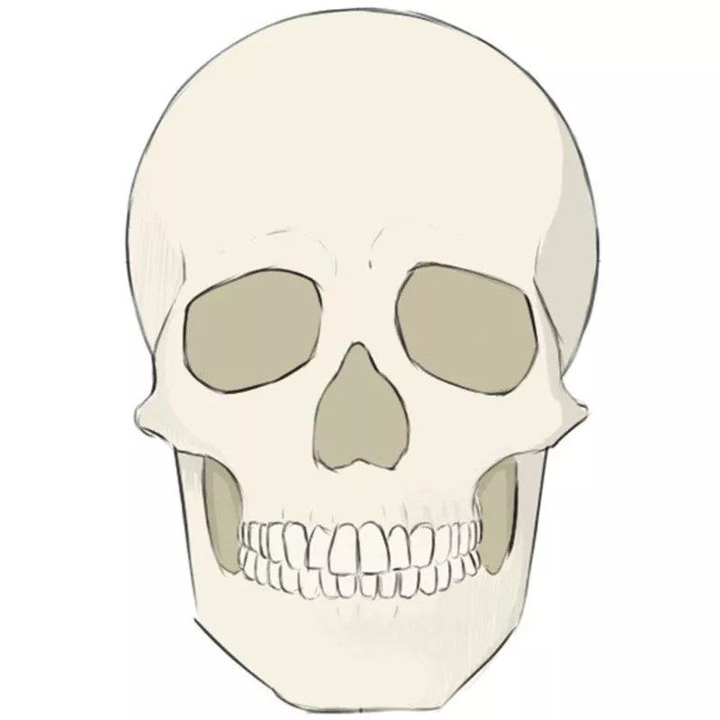 How To Draw A Skull Easy Drawing Art
