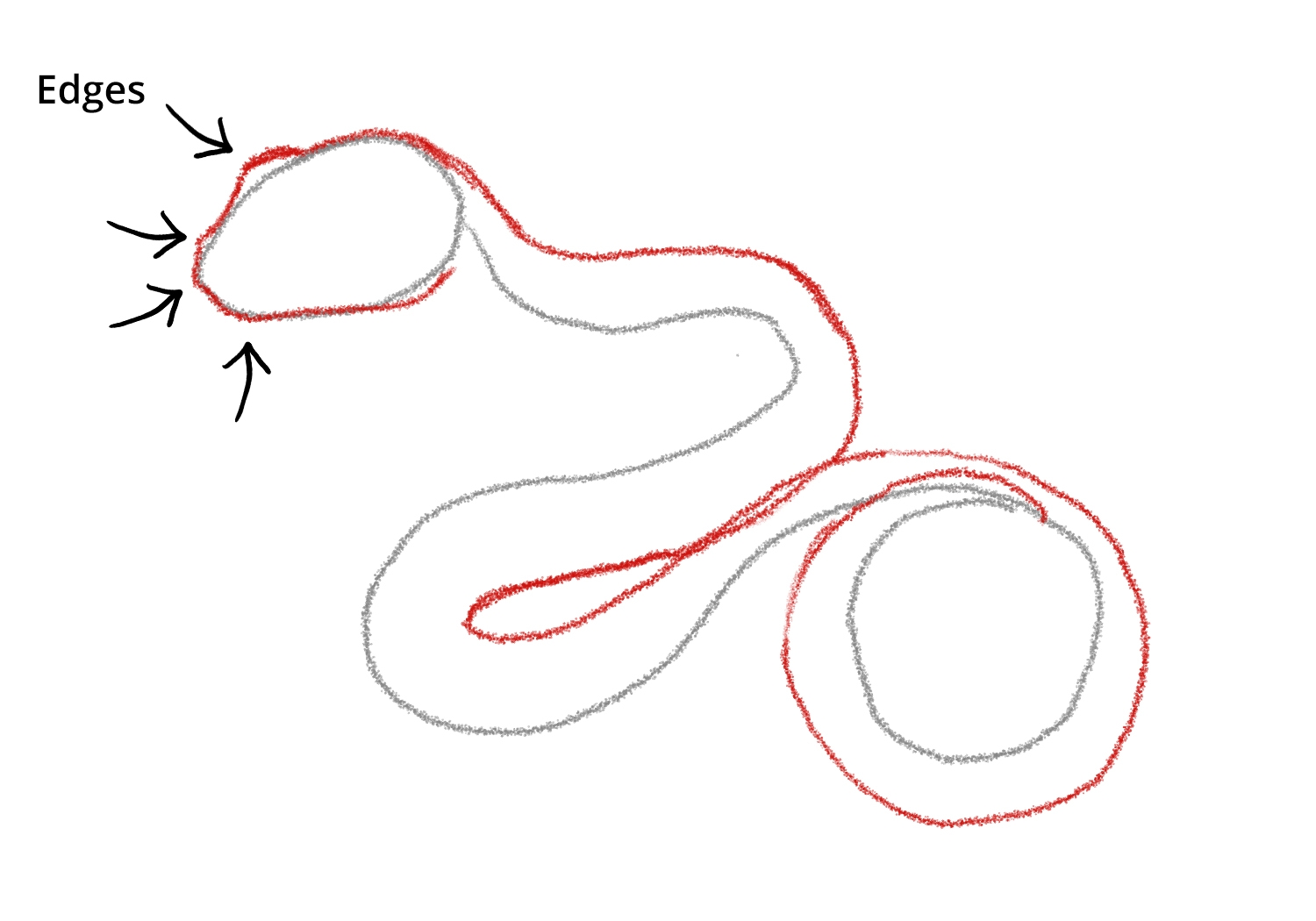 snake head drawing