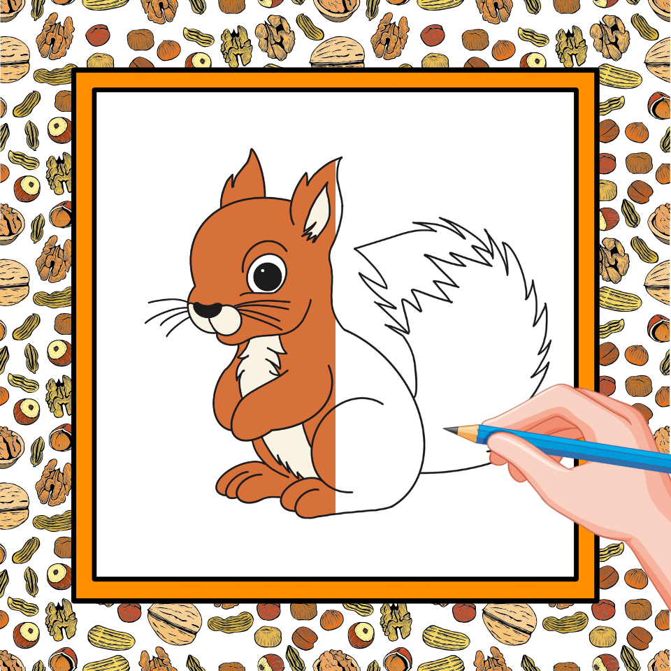squirrel drawing easy