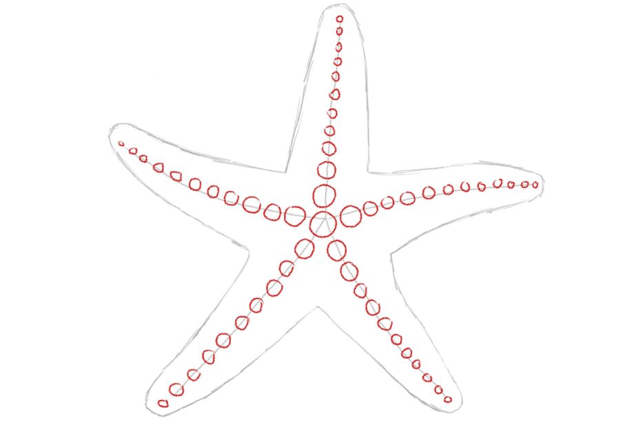 How To Draw A Starfish Design School