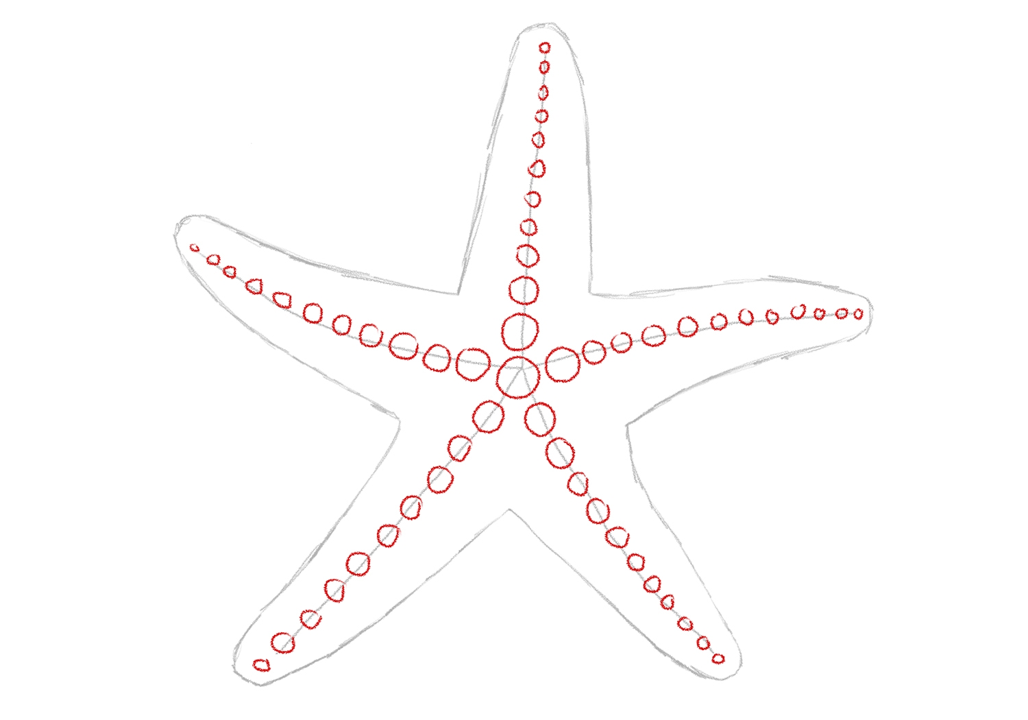 How To Draw A Starfish Design School