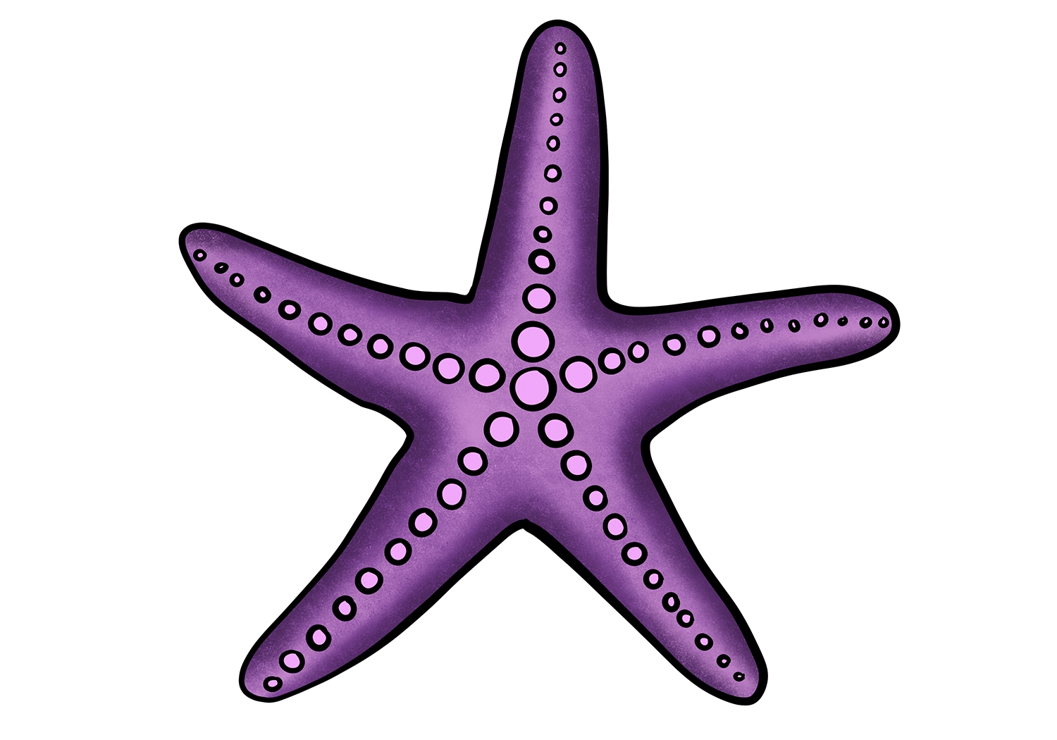 How To Draw A Starfish Design School