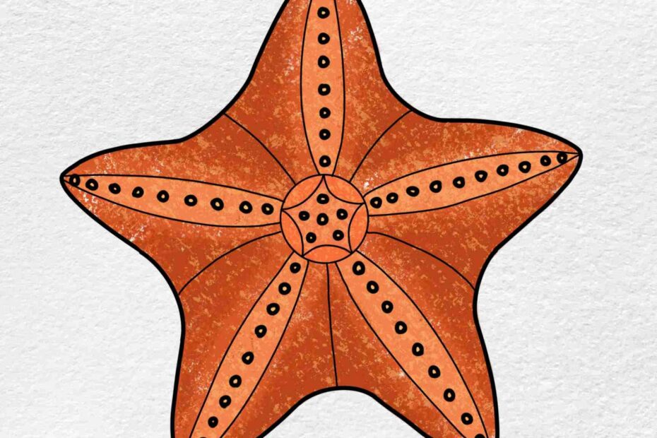 How To Draw A Starfish HelloArtsy
