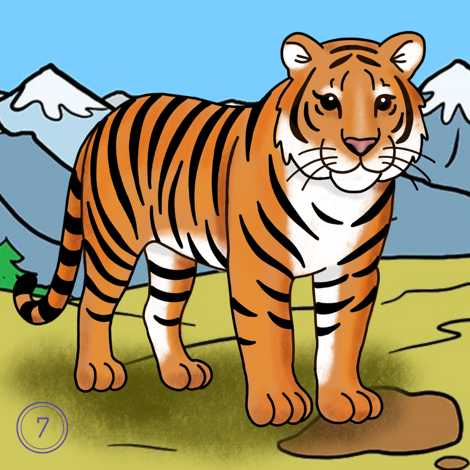 how to draw a tiger easy