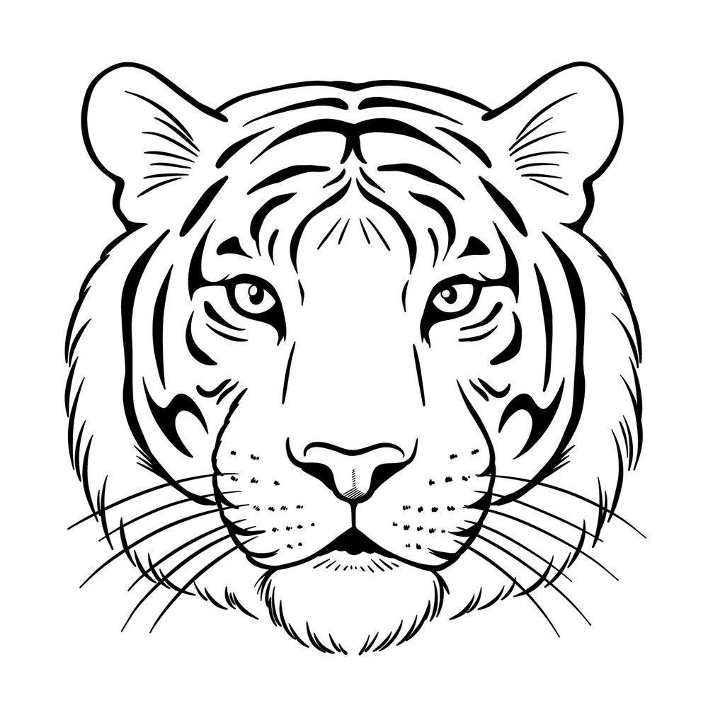 How To Draw A Tiger s Head Front View Easy Big Cat Drawing