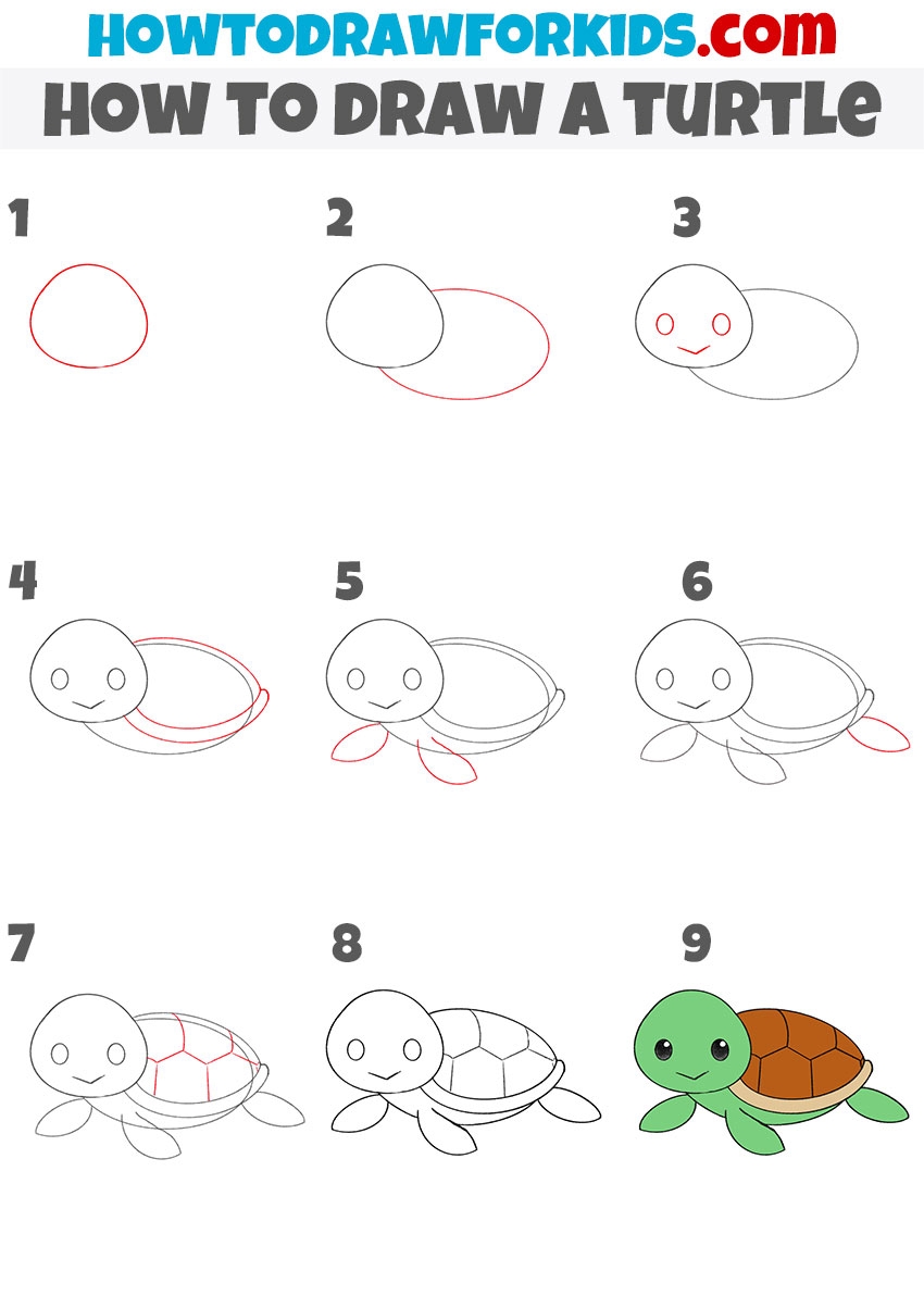 How To Draw A Turtle Easy Drawing Tutorial For Kids