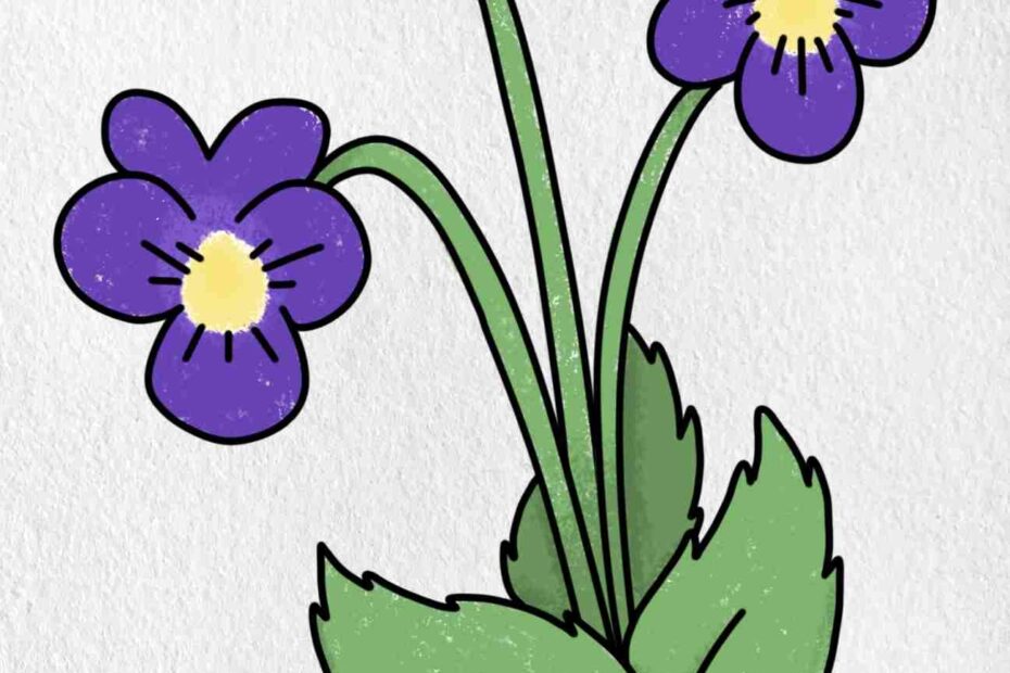 How To Draw A Violet HelloArtsy