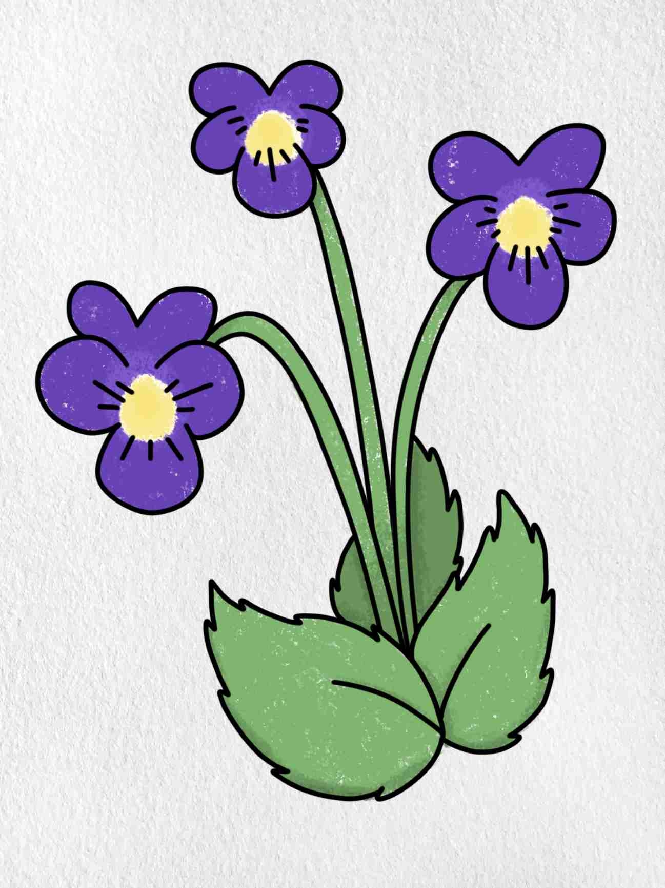 How To Draw A Violet HelloArtsy