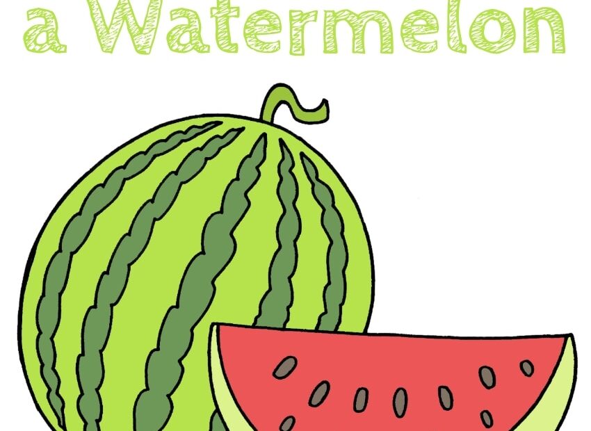 How To Draw A Watermelon How To Draw Easy