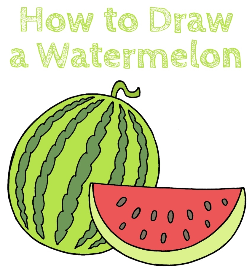 How To Draw A Watermelon How To Draw Easy