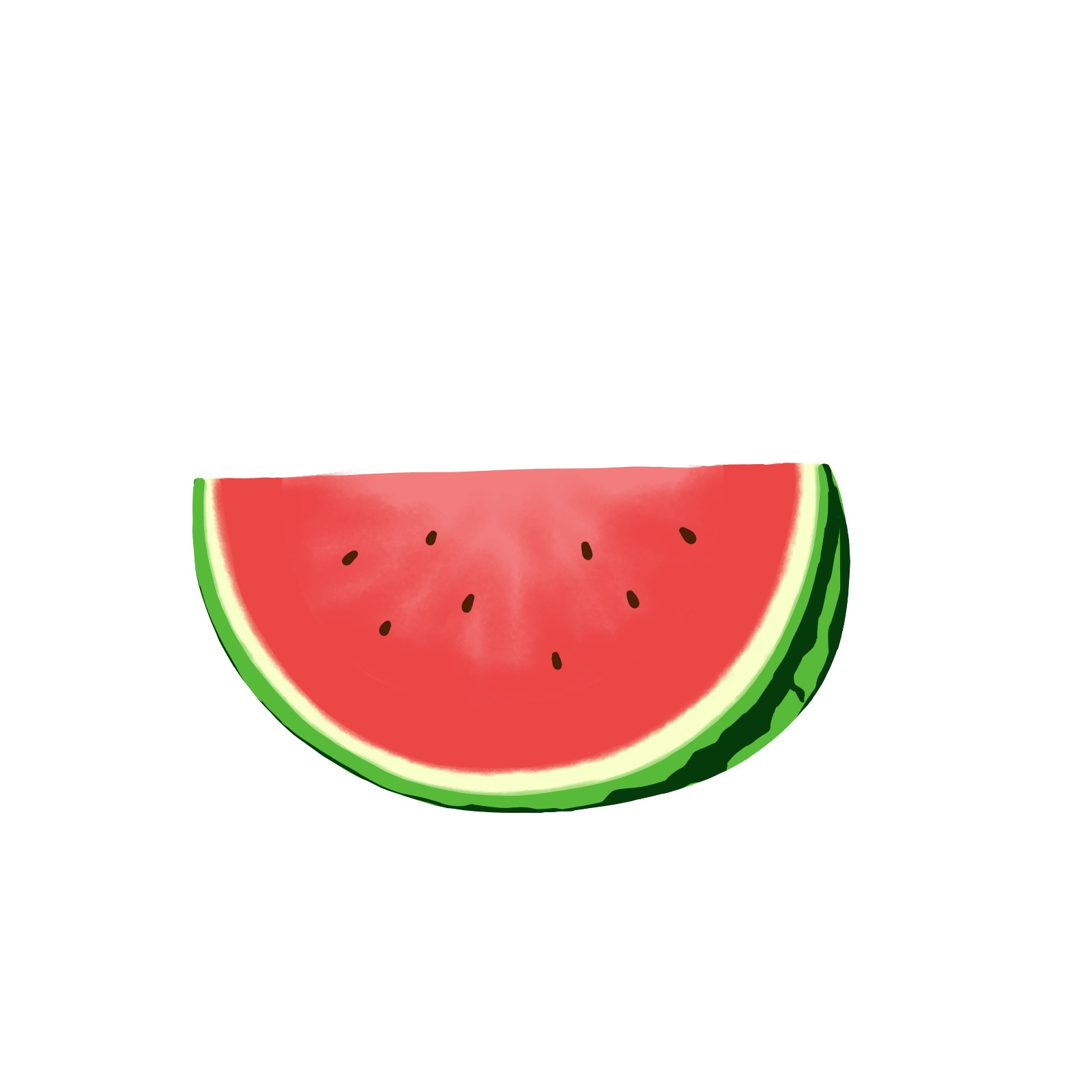 How To Draw A Watermelon MediBang Paint The Free Digital Painting And Manga Creation Software
