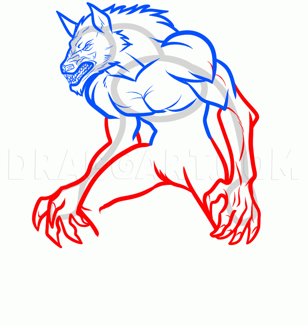 How To Draw A Werewolf Transformation Werewolf Transformation 