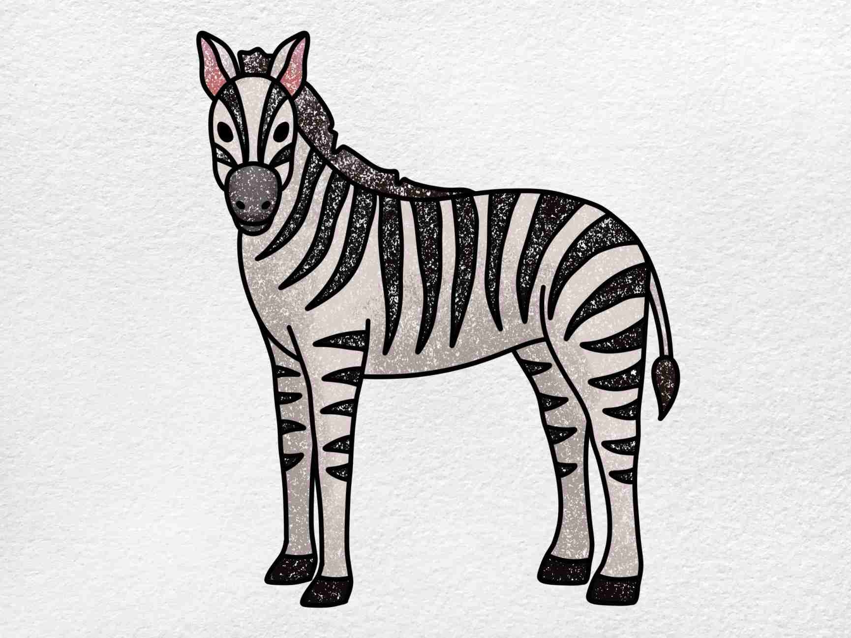 How To Draw A Zebra HelloArtsy