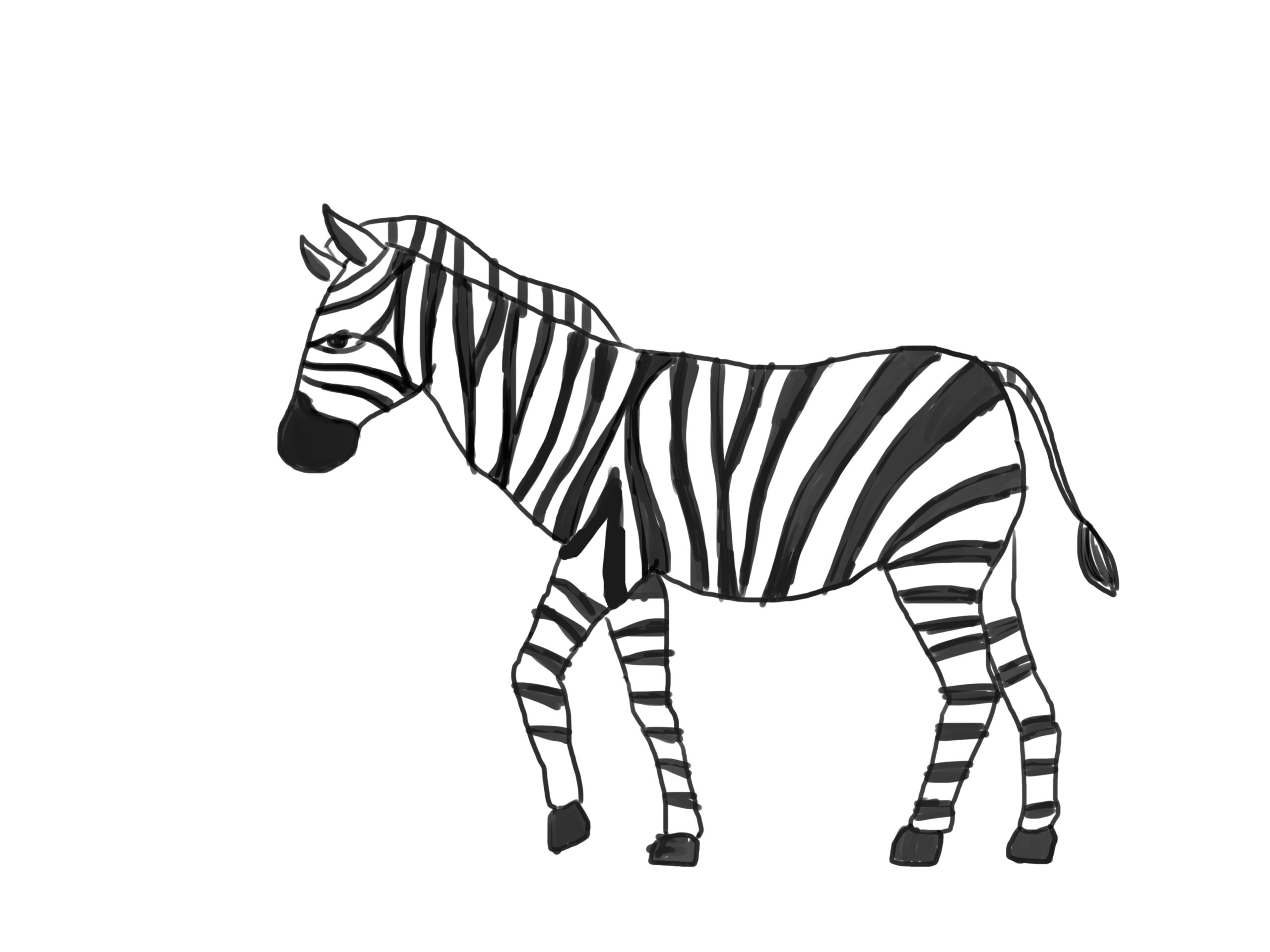 How To Draw A Zebra with Pictures WikiHow