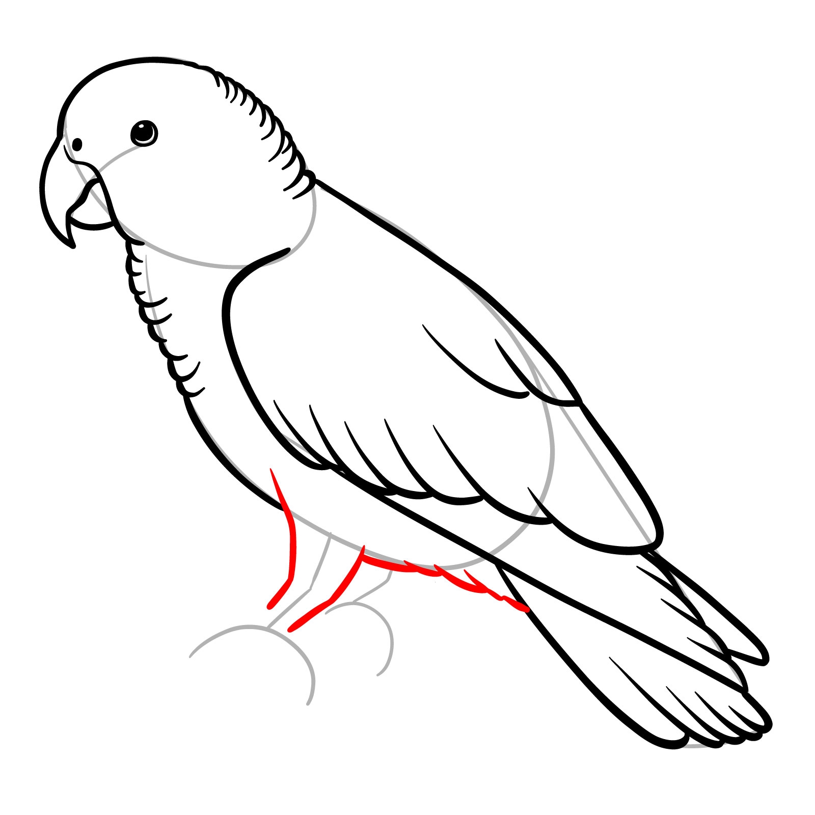 How To Draw An African Grey Parrot Easy Step by Step Guide
