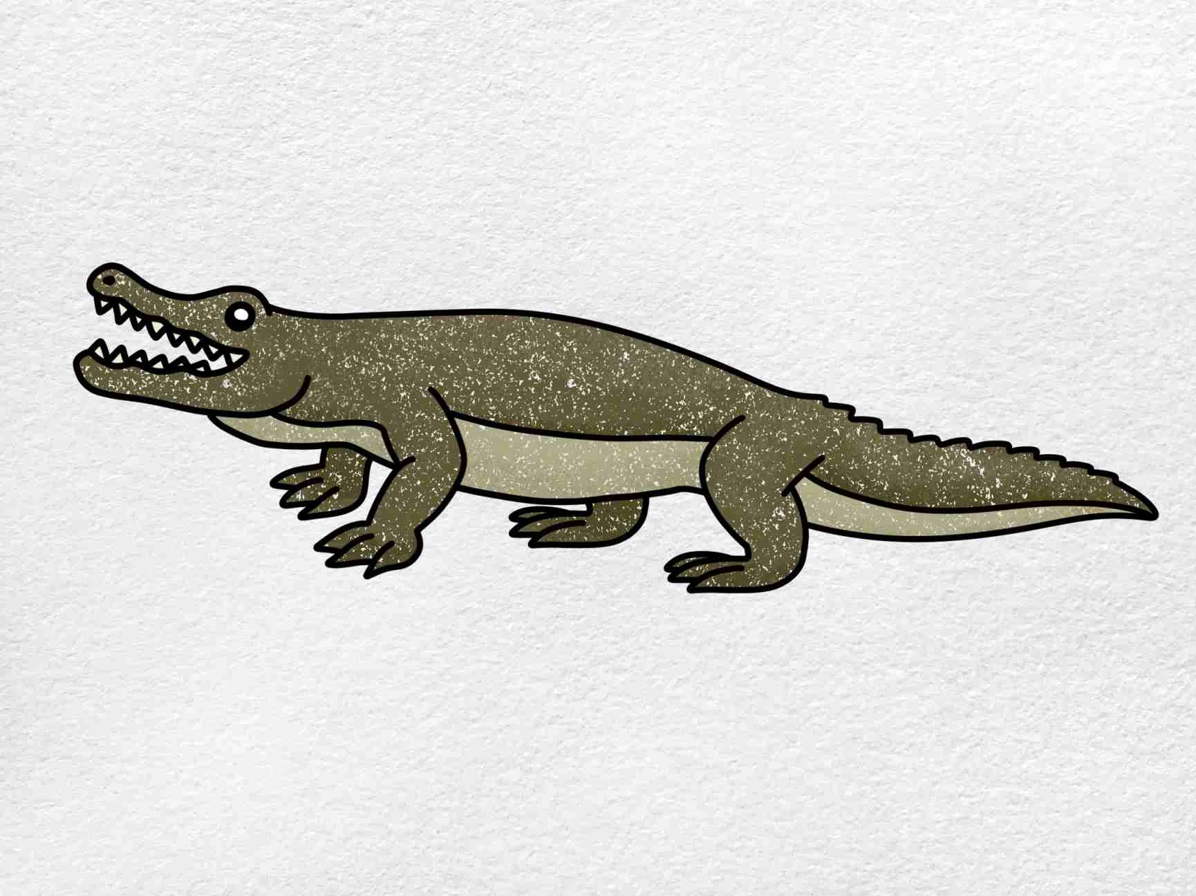How To Draw An Alligator HelloArtsy