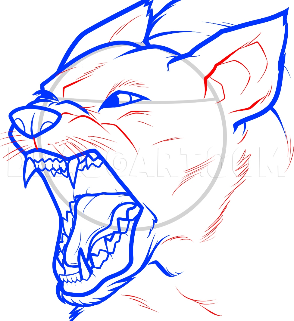 canine drawing