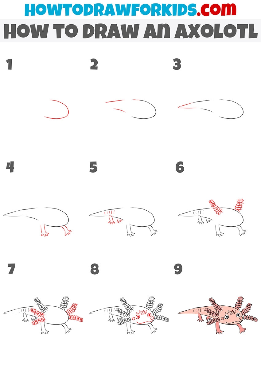How To Draw An Axolotl Easy Drawing Tutorial For Kids