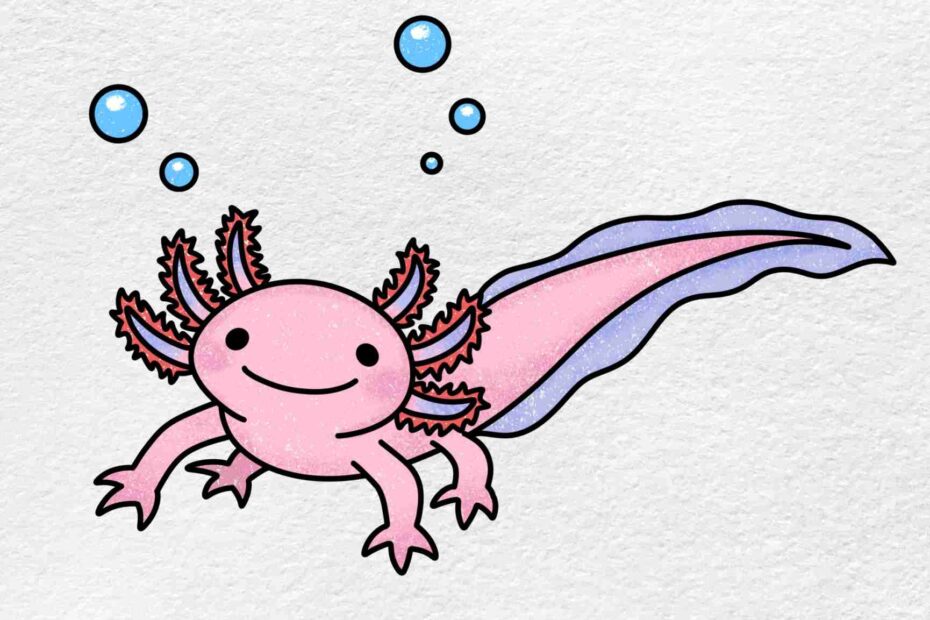 How To Draw An Axolotl HelloArtsy